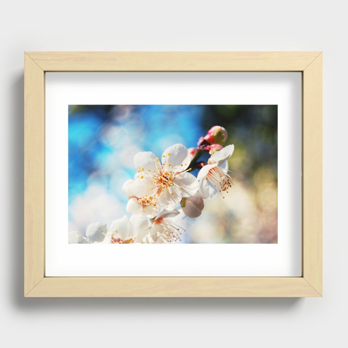 Spring Blossom Recessed Framed Print