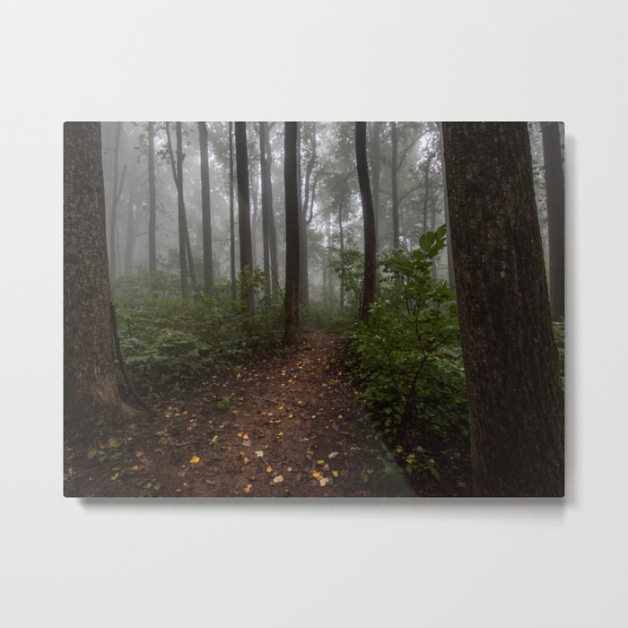 Smoky Mountain Summer Forest IX - National Park Nature Photography Metal Print