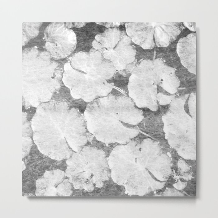 gray ruffled plant Metal Print