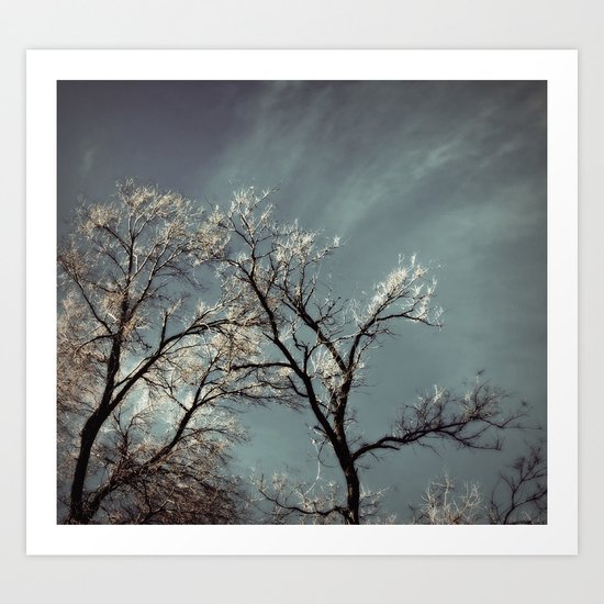 trees Art Print