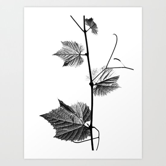 wine leaf abstract III Art Print
