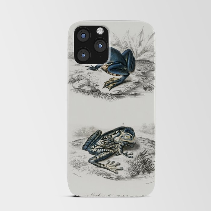 Shrinking Frog & Black-Spotted Casque-Headed Tree Frog iPhone Card Case