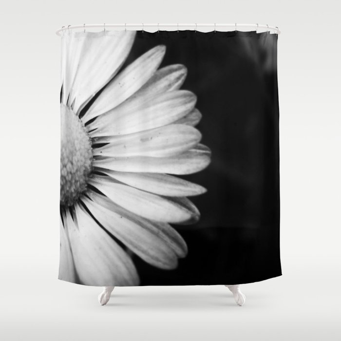 Black And White Flower Macro Photography Monochromatic Photo