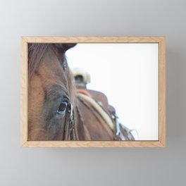 Rope Horse Framed Mini Art Print
