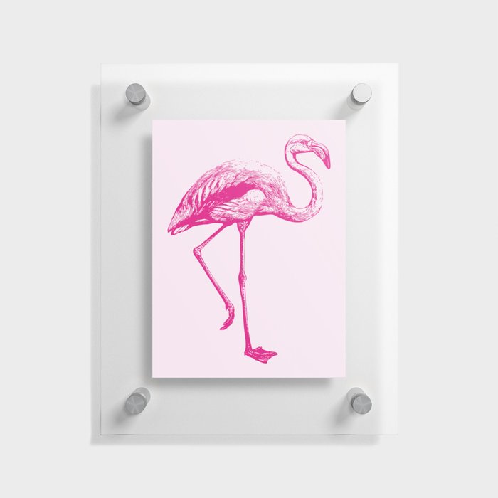 Flamingo | Pink Flamingo | Floating Acrylic Print