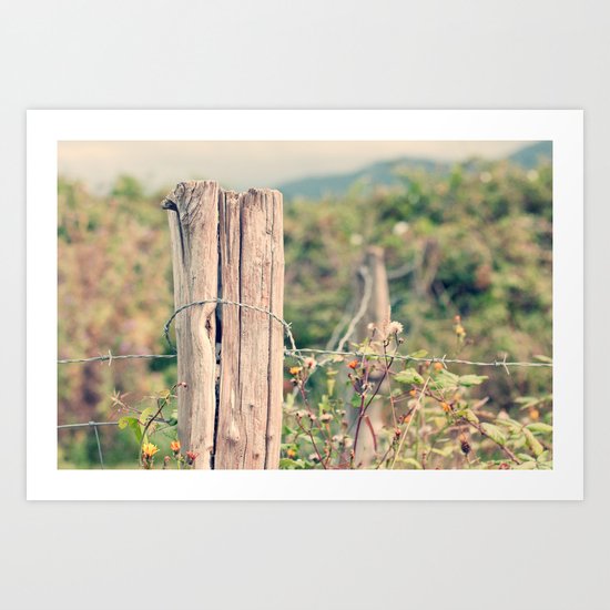 Countryside Art Print