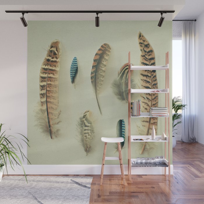 The Feather Collection Wall Mural