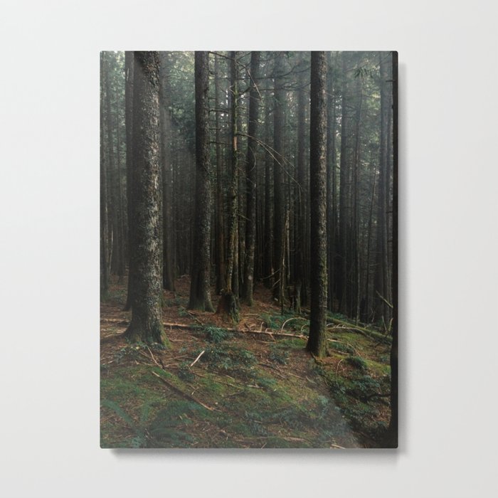 Gorge Woods Metal Print