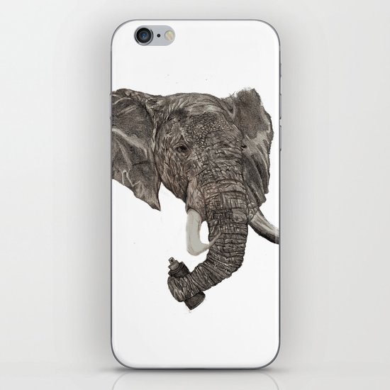 Street Elephant iPhone & iPod Skin
