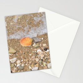 Sea shell on the beach Stationery Card