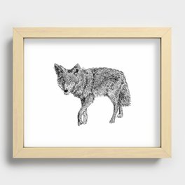 Coyote Recessed Framed Print