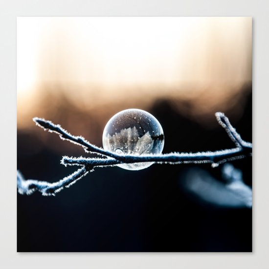 Wintry World in Frozen Bubble Canvas Print