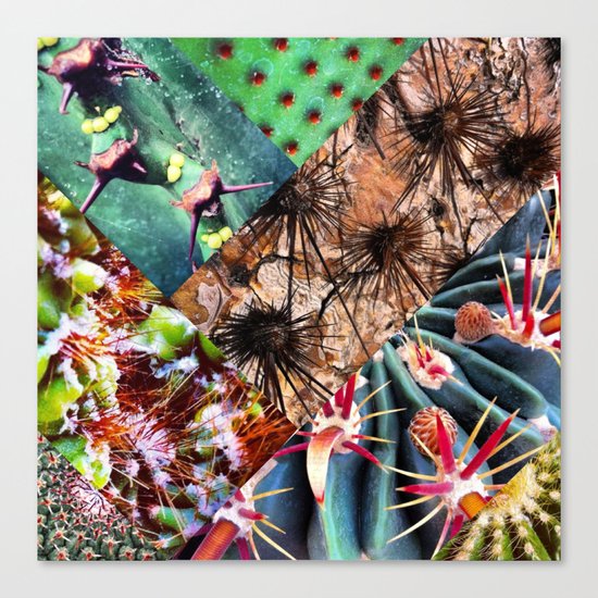 Cactus Collage Canvas Print