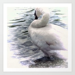 Artistic swan Art Print