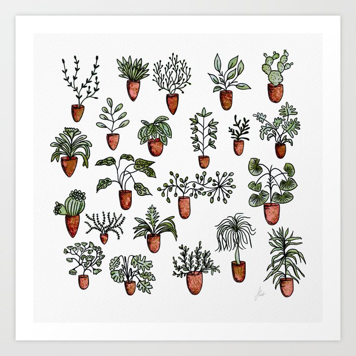 Succulent Houseplants In Terracotta Pots Watercolor Cacti Plant