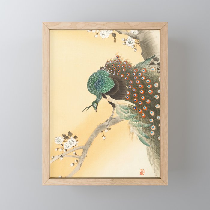Peacock On A Cherry Tree - Vintage Japanese Woodblock Print Framed Mini Art Print