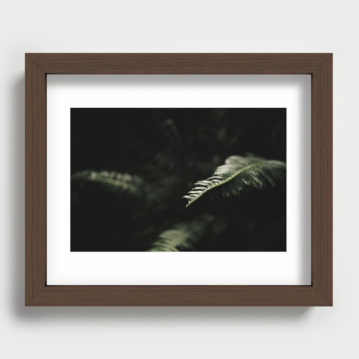 sword fern 1 Recessed Framed Print