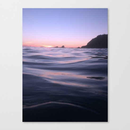 Fading Canvas Print