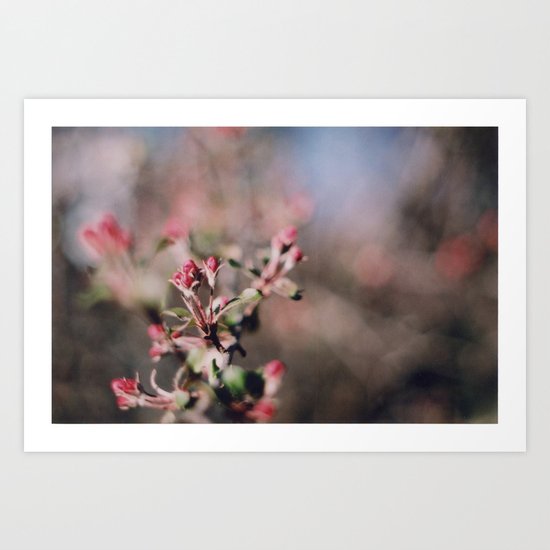 bloom Art Print