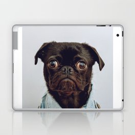 funny pug dog Laptop Skin