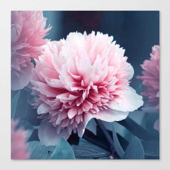 lovely Canvas Print