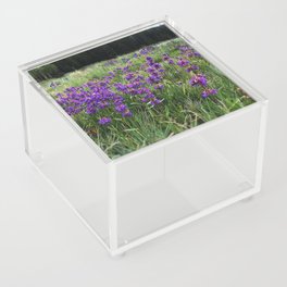 Field of Purple Acrylic Box