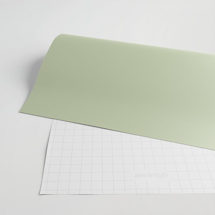 The Light Sage Green Solid Wrapping Paper by Kierkegaard Design Studio