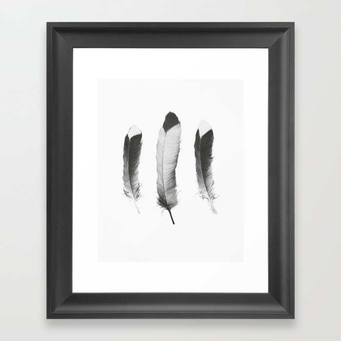 Feathers Sketch Framed Art Print