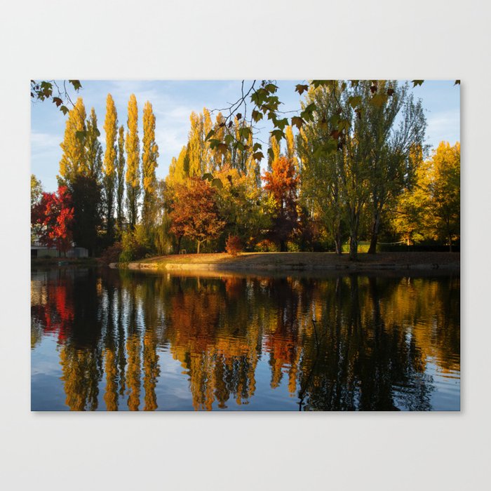 Lone Bench under the Tree Canvas Print