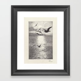 Seagulls - Pen and Ink Illustration Framed Art Print