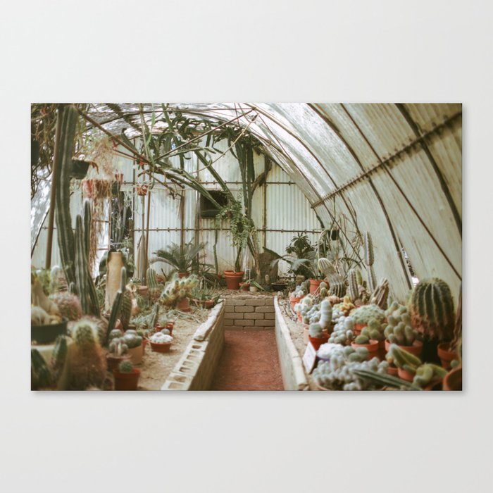 Moorten Botanical Gardens Canvas Print