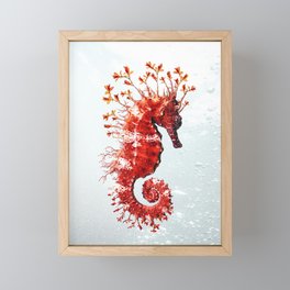 Scarlet Seahorse Framed Mini Art Print