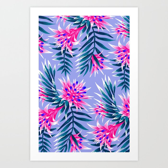 Aechmea Fasciata - Light Blue / Pink Art Print