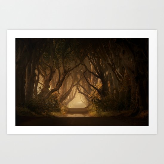 Sunny morning at Dark Hedges Art Print