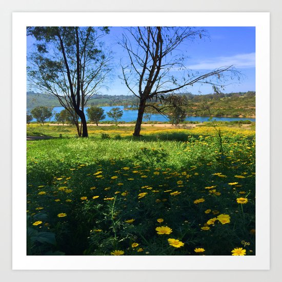 Springtime Comes to Lake Murray, La Mesa, CA Art Print