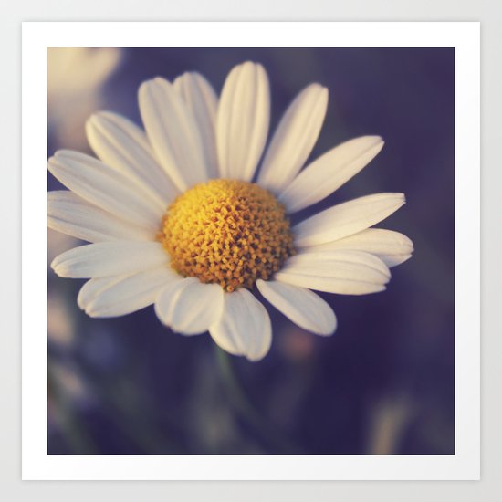 Daisy Art Print