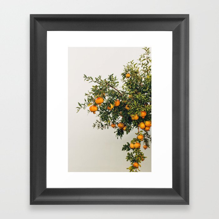 Pomegranates Framed Art Print