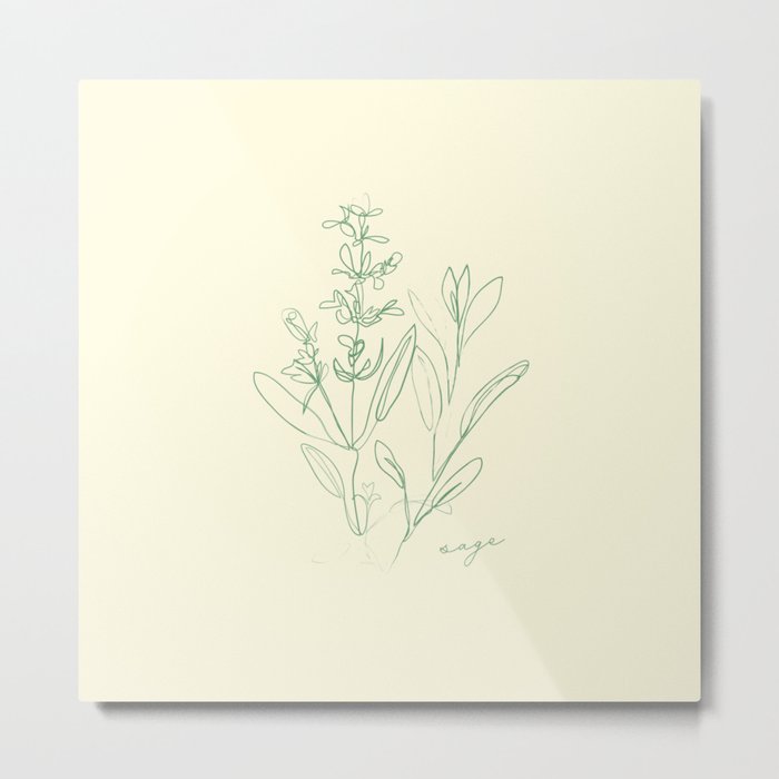 Sage - One Line Drawing Art Design Herbs  Metal Print