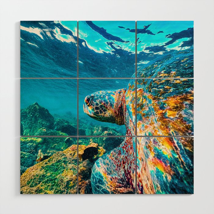 Rainbow sea turtle Wood Wall Art