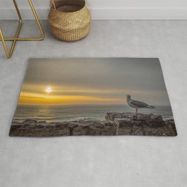 Just you, me and the Sunset Rug | Color, Seagul, Waves, Bird, Justus, Perfecttiming, Hdr, Digital, Sunset, Youmeandsunset 