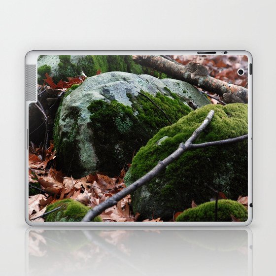 Mossy Rock in the Forest Laptop & iPad Skin