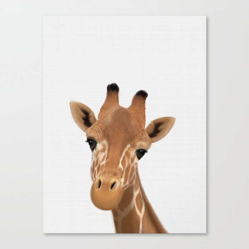 Baby Giraffe Print