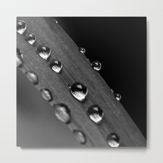 drops Metal Print