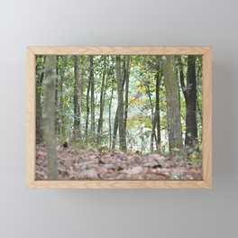 Forest Trail Framed Mini Art Print