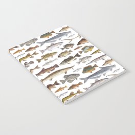 Southeast Freshwater Fish Notebook