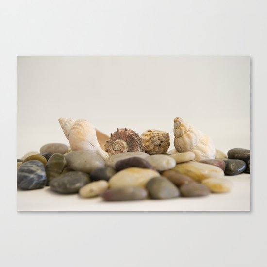 Seashells & Stones #1 #decor #art #society6 Canvas Print