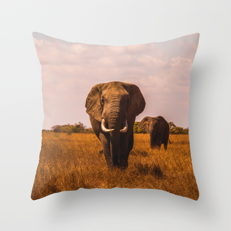 Elephant Safari Color Throw Pillow By Nocolordesigns Society6
