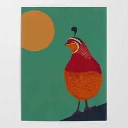 quail Poster