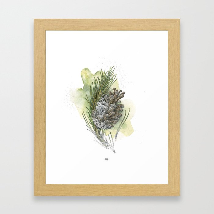 Pine Cone Framed Art Print