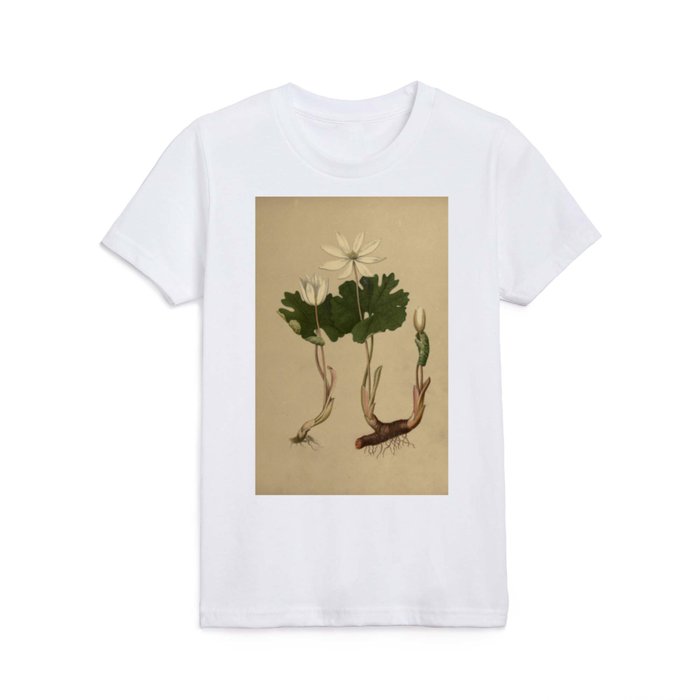 Naturalist Bloodroot  Kids T Shirt